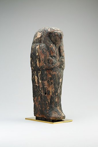 Canopic Coffin in the form of Qebehsenuef
