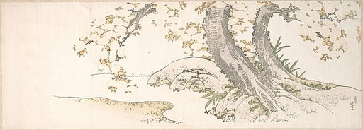 Blossoming Cherry Trees by a Stream