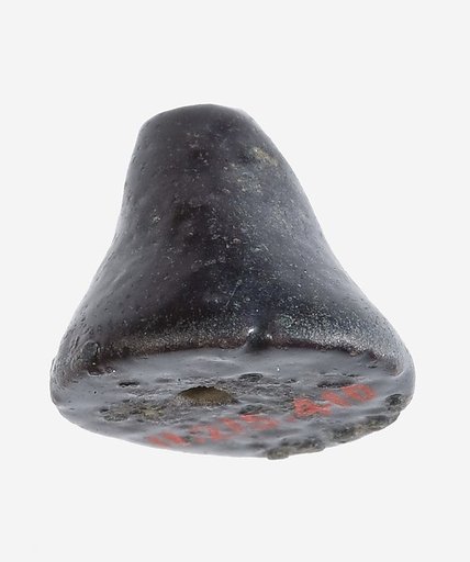 Umbel Pendant