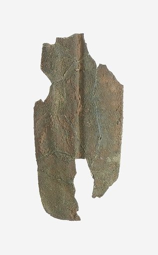 Scale from Armor