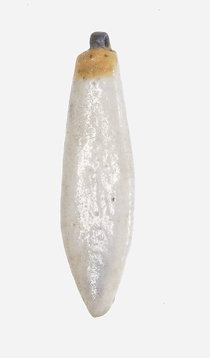 Lotus Petal Pendant