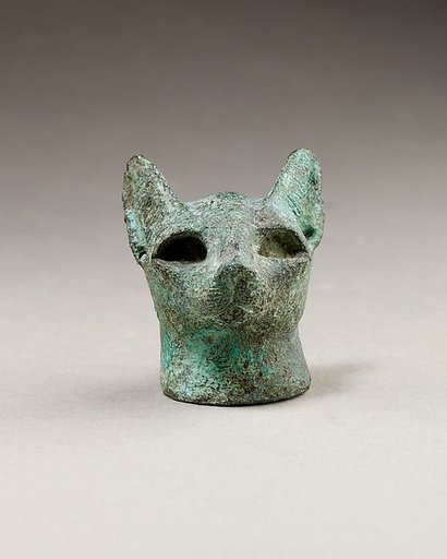 Head of a cat