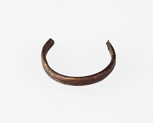 Fragment of a ring