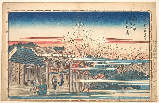 Morning Cherries at Yoshiwara