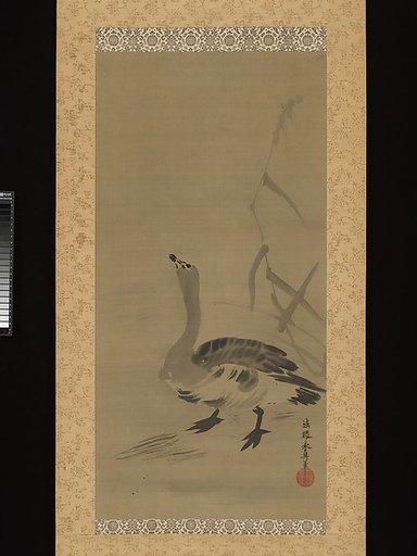 Wild Goose and Reeds