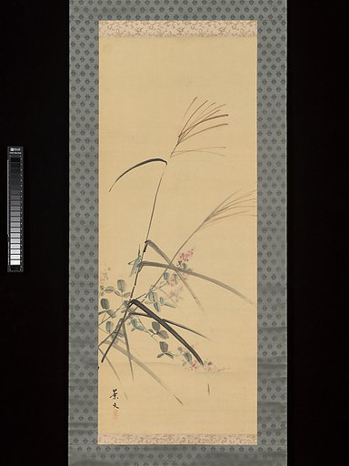 Bush Clover, Grass and Cricket