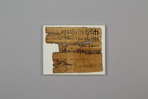 Papyrus charm