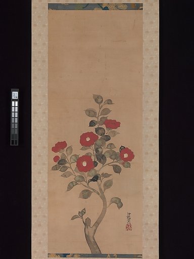 Camellias