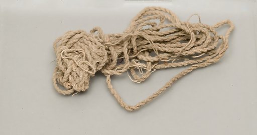 Fishing Line