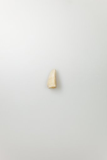 Shabti of Siptah