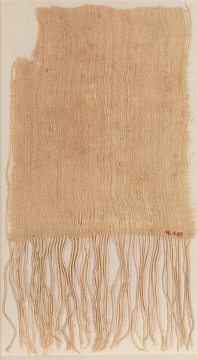 Sample of Fringed Cloth