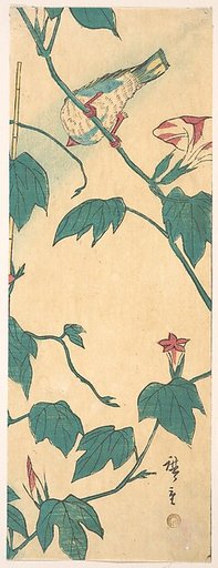 Morning Glories and Bird