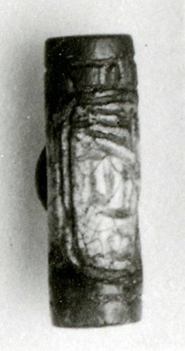 Cylinder Seal