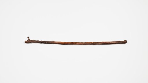 Staff of Lady Djabwet