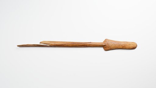 Scepter case (?)