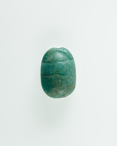 Scarab