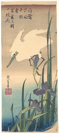 White Heron and Iris
