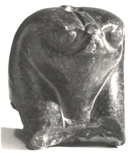 Head of falcon