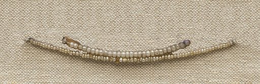 String of 29 Beads