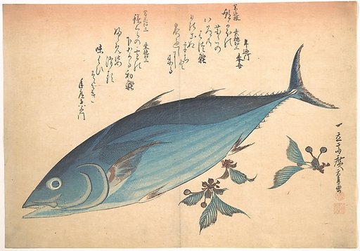 Katsuo Fish with Cherry Buds, from the series Uozukushi (Every Variety of Fish)