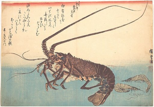 Ise-ebi and Shiba-ebi, from the series Uozukushi (Every Variety of Fish)