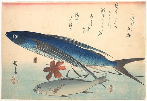 Tobiuo and Ishimochi Fish, from the series Uozukushi (Every Variety of Fish)