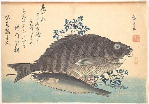 Shimadai and Ainame Fish, from the series Uozukushi (Every Variety of Fish)