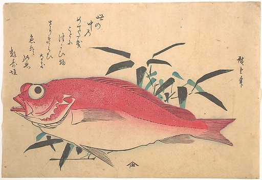 Medetai Fush and Sasaki Bamboo, from the series Uozukushi (Every Variety of Fish)