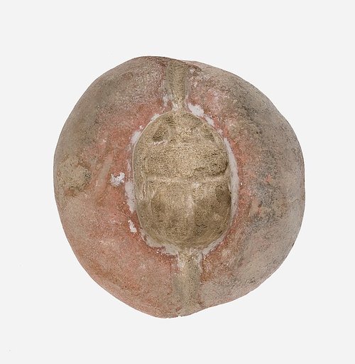 Mold for a Scarab