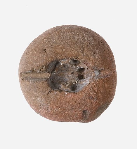 Frog Mold