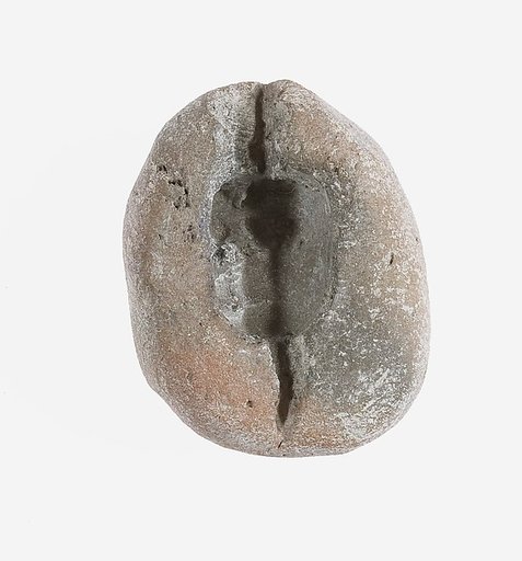 Hippopotamus Mold