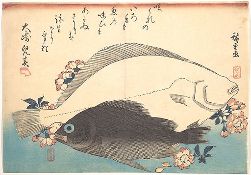 Hirame and Mebaru Fish with Cherry Blossoms, from the series Uozukushi (Every Variety of Fish)