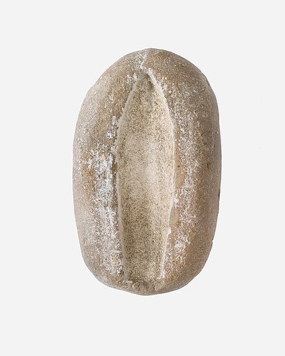 Mold of a Lily Petal
