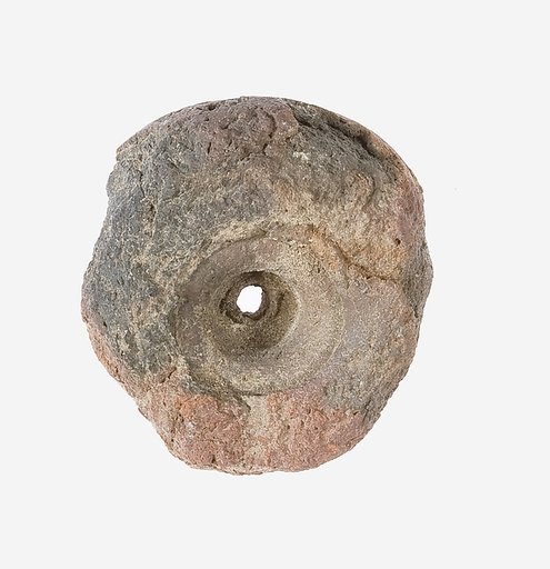 Ridged Umbel Mold