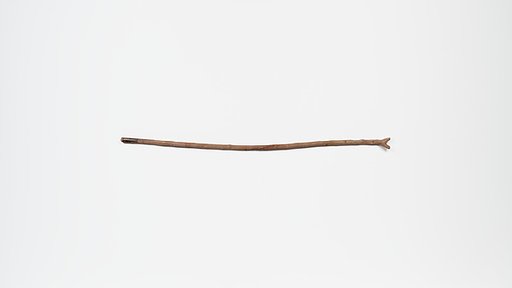 Staff, forked