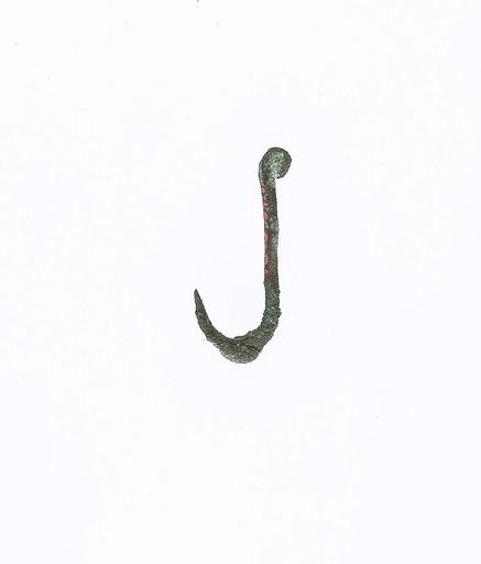 Fish hook