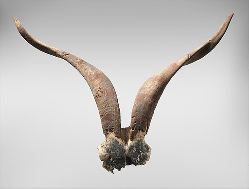 Bucranium