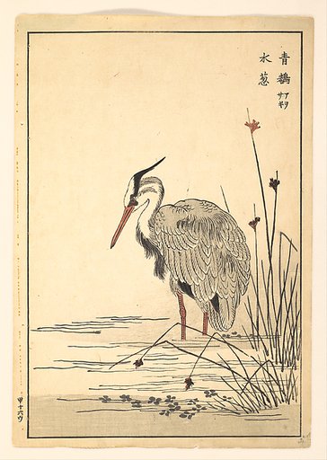 Gray Heron (Aosagi) and Mizu-aoi Plant