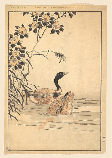 A Pair of Geese with Camellias