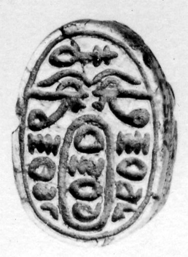Scarab