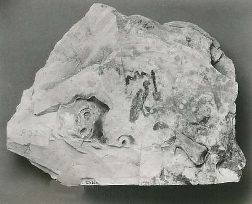 Name Stone of Senenmut