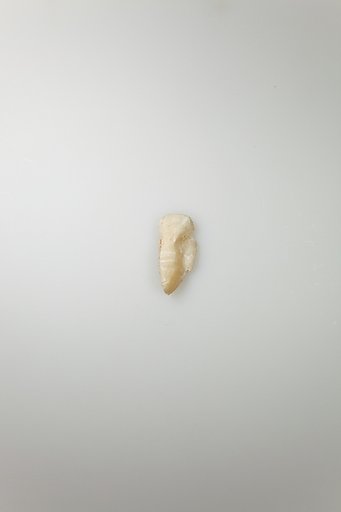 Shabti of Siptah