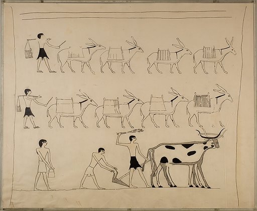 Laden Donkeys and Men Plowing, Tomb of Djari