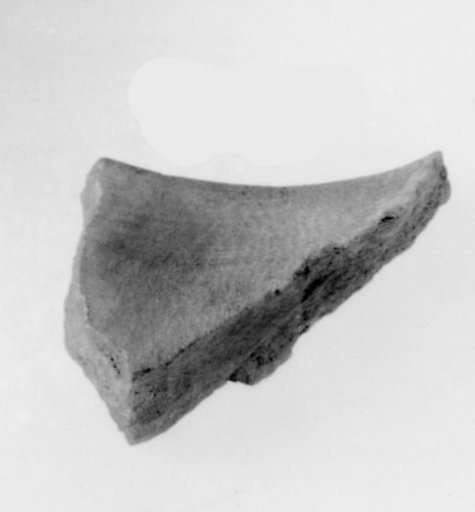 Fragment of the Top Surface of Siptah's Canopic Chest