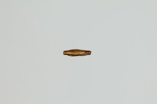 Sweret amulet