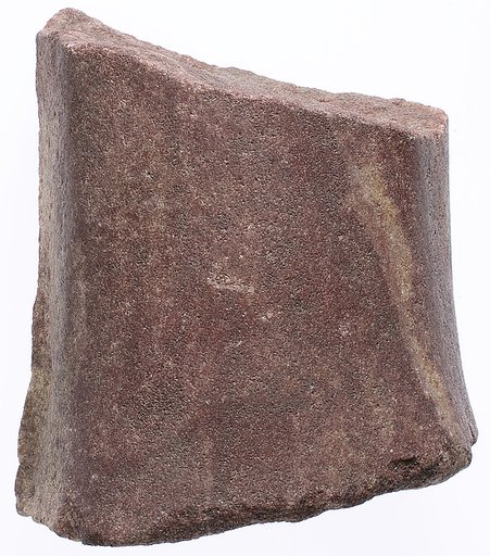 Limb fragment