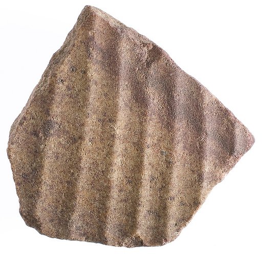 body fragment with garment pleats