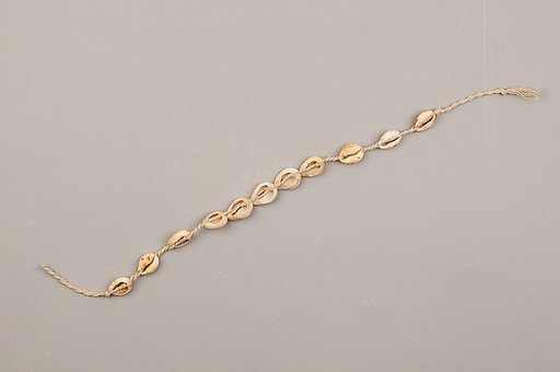 String of cowrie shell beads on fiber