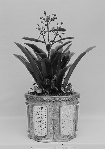 Pot with Plant