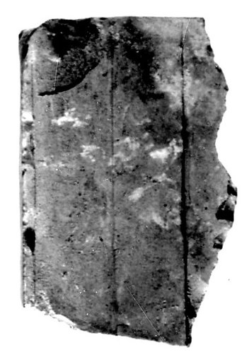 Relief fragment, tomb of Meketre